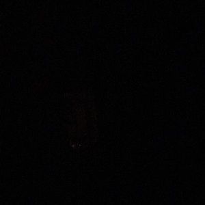 Meet your Posher, Kelli